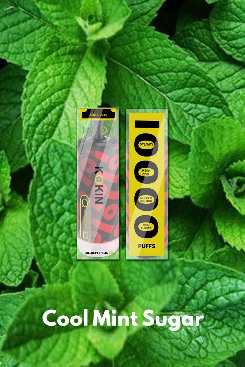 Kokin Bigboy Plus - Cool Mint Sugar