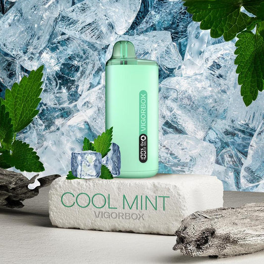 Vigorbox 10000 - Cool Mint